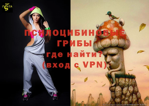 ПСИЛОЦИБИНОВЫЕ ГРИБЫ Алексин