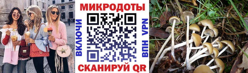 Галлюциногенные грибы Magic Shrooms  Саров 